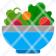 salad-vegetable-food-healthy-organic-diet-icon