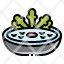 saladorganic-vegan-vegetable-food-icon