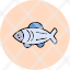salmon-fish-fishing-fishy-food-sockeye-icon