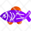 salmon-fish-fishing-fishy-food-sockeye-icon