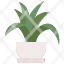 sansevieriaplants-nature-gardening-pot-sansevieria-trifasciata-house-plants-farming-botanic-icon