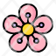 saponaria-flower-plant-blossom-garden-floral-nature-icon