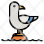 seagull-bird-animals-fauna-animal-icon