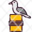 seagullsea-fauna-bird-nature-animals-beach-icon
