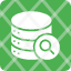 search-icon