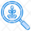 search-icon