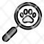 search-magnify-paw-find-pet-icon