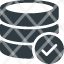 serverdatabase-data-store-check-icon
