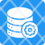 setting-icon