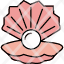 shell-crust-peel-sea-summer-pearl-oyster-icon