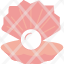 shell-crust-peel-sea-summer-pearl-oyster-icon