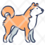 shiba-dog-animal-inu-japan-japanese-pet-icon