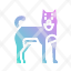 shiba-dog-japan-avatar-pet-icon