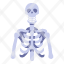 skeleton-anatomy-body-bone-bones-human-icon