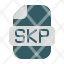 skp-icon