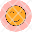 smileyemoji-emot-happy-satisfacted-smile-icon