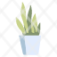 snake-plants-fern-garden-gardening-leaf-pot-icon