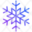 snowflake-christmas-celebration-tradition-winter-festival-icon-icon