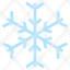 snowflake-nature-winter-snow-cold-season-ice-frost-weather-snowfall-icon
