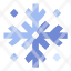 snowflake-winter-season-christmas-snow-snowfall-icon