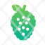 soursop-organic-natural-icon