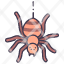 spider-danger-fear-halloween-horror-insect-poison-icon