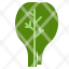spinach-leaf-vegetable-fiber-green-icon
