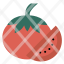 spring-tomato-food-fruit-vegetable-icon