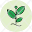 sprout-environment-growing-nature-plant-icon