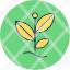 sprout-environment-growing-nature-plant-icon