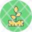 sprout-farminggrowth-seedling-icon-icon
