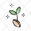 sprout-grow-plant-seedling-growing-sapling-icon