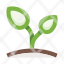 sprout-herb-plant-nature-flower-garden-botany-icon