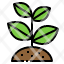 sprout-tree-plant-agriculture-farm-icon