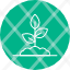 sproutfarm-plant-soil-sprout-icon-icon