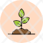 sproutfarm-plant-soil-sprout-icon-icon
