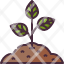 sprouttree-joshua-tree-gardening-smart-farm-seed-grow-shop-farming-nature-icon