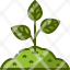 sprouttree-joshua-tree-gardening-smart-farm-seed-grow-shop-farming-nature-icon