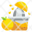 squeezer-kitchenware-citrus-juice-orange-squash-household-icon