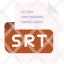 srt-file-type-format-extension-document-icon