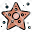 star-fish-starfish-summer-sea-icon