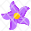 star-flower-floweret-blossom-botany-nature-icon