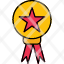 star-medal-award-badge-ribbon-icon