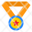 star-prize-award-reward-medal-icon