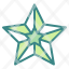 star-rate-ui-interface-favorite-icon