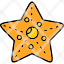 starfish-beach-sea-star-icon