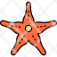 starfish-beach-sea-summer-ocean-icon
