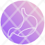 stomach-health-organ-medical-body-belly-woman-icon