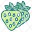 strawberry-fruit-food-organic-vegetarian-icon
