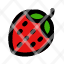 strawberry-tropical-sweet-fruit-icon